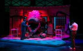 Little House of Horrors